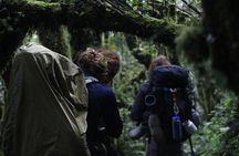 Toliman Volcano Hike 