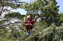Blue Hole, Zipline and Dunn's River Falls from Falmouth
