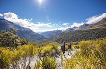 Full-Day Milford Sound Tour with Cruise and Walks from Te Anau