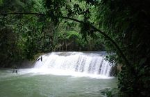 Ys Falls Private Tour