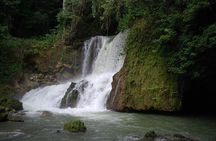 Ys Falls Private Tour