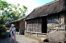 Full-Day in Bali: Amazing Ubud Tour