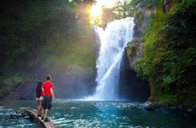 Full-Day in Bali: Amazing Ubud Tour