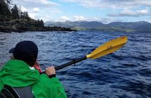 Owner Operated, Boat Launched, Kayak Tour