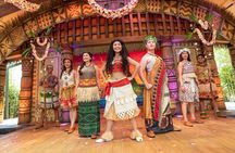Daily Group Tour: Disneyland Admission With Hotel Pickup and 1-Way Transfer