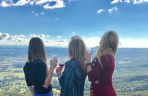 Mount Tamborine Wine Tasting Tour from Brisbane or the Gold Coast