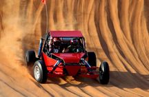 Dune Buggy Experience