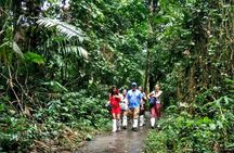 Khao Yai National Park Hiking Day Tour: Haew Narok and Haew Suwat