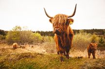 3-Day North Coast 500 Small-Group Tour from Inverness