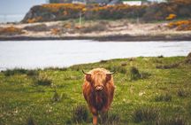 4-Day Magical Mull, Iona & West Highlands Small-Group Tour from Edinburgh