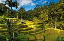 Private 4-Day Tours - Best Bali Tours Package - Best of Bali Highlights