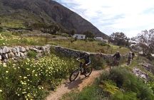 Santorini Ebike Adventures-the original bike tours-