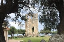 Private Half-day Tour: Antisamos beach Swim, Melissani Lake, Agrilia Monastery