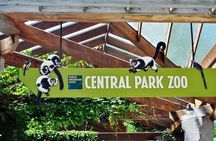 See 30 Top New York Sights (Walking Tour) & Visit Central Park Zoo. 