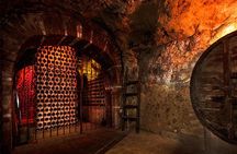 Ribera del Duero Underground Cellar & Wine Tasting Experience