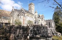 Historical Tour and Seafood Experience 