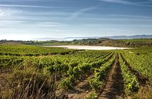 Rioja Wine Tour: wineries and Laguardia from Bilbao