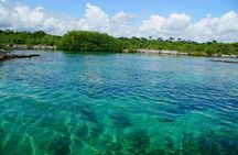VIP Cenotes Private Tour