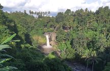 Bali Full Day Holy Water Tour
