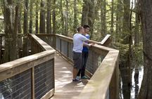 Wild Florida Adventure Package Tour
