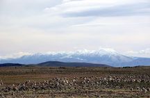 Fez to Middle Atlas Day Trip (Berber Villages&Nature)