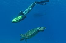Oahu: SEABOB & Turtle Snorkeling Adventure