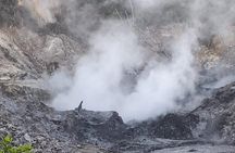 Saint Lucia Sulphur Springs Rejuvenating Mud Bath Tour