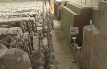 Half-day tour to the Terra Cotta Army Museum with great flexibility