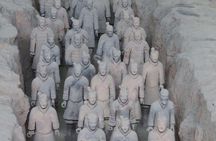 Half-day tour to the Terra Cotta Army Museum with great flexibility