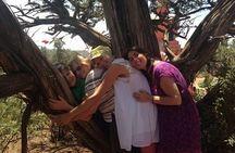 Private 3-Hour Spiritual Vortex Tour of Sedona
