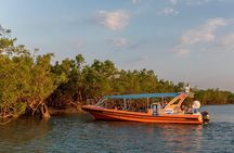Discover Darwin Harbour 1 hour Darwin Harbour Cruise