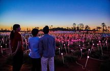 Uluru (Ayers Rock) Field of Light Sunrise Tour