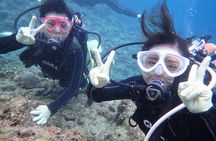 Blue Cave Area Experience Diving!Free feeding & photo images!English and Chinese speaking guide available!1 group with a dedicated instructor 