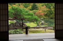 Kyoto Full-Day Private Tour by Public Transportation