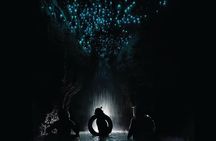 Black Water Rafting Experience Waitomo Caves Tour