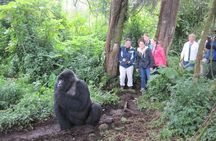 3 days Uganda Gorilla safari tour with relaxation on Lake Bunyonyi