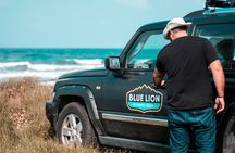 Private Morning Mykonos Safari Tour with Personal Driver