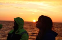 Midnight Sun Whale Watching from Reykjavik
