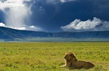 Ngorongoro Crater Day Trip