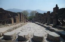 Guided Tour of Pompeii and Herculaneum with Lunch and Ticket 
