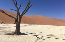 3 Day Camping safari at Sossusvlei