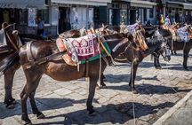 One Day Cruise to Hydra, Poros and Aegina from Athens