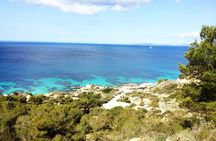 Mallorca: Snorkeling in a Beautiful Nature Reserve