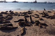 7-Day Galapagos Island Classic Tour: Los Tuneles and Local Flight