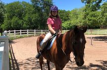 Horseback Riding and Wine Tours