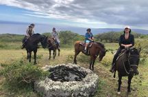 Horseback Riding and Wine Tours