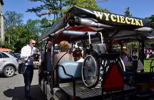 Krakow: Private Guided City Tour by Electric Car