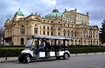Krakow: Private Guided City Tour by Electric Car