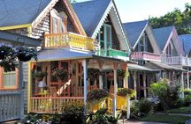 3-Hour Martha's Vineyard Island Tour from Oak Bluffs