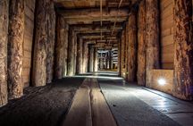 Auschwitz & Wieliczka ONE DAY Guided Tour +Private Transportation